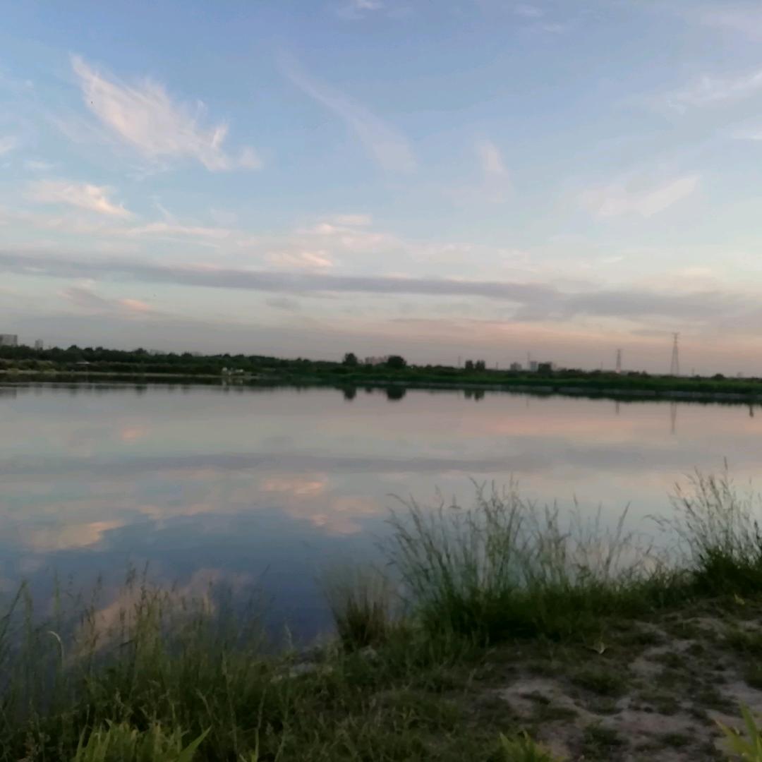 坚强的墙头草不会随风倒