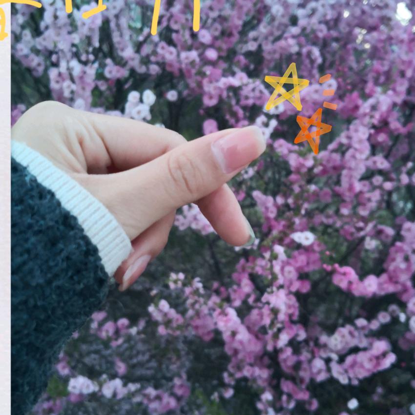 Dikm