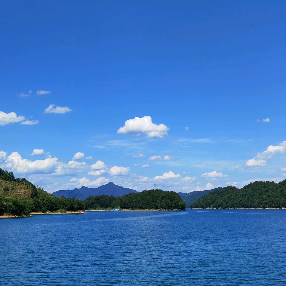 乡村烤面包的人