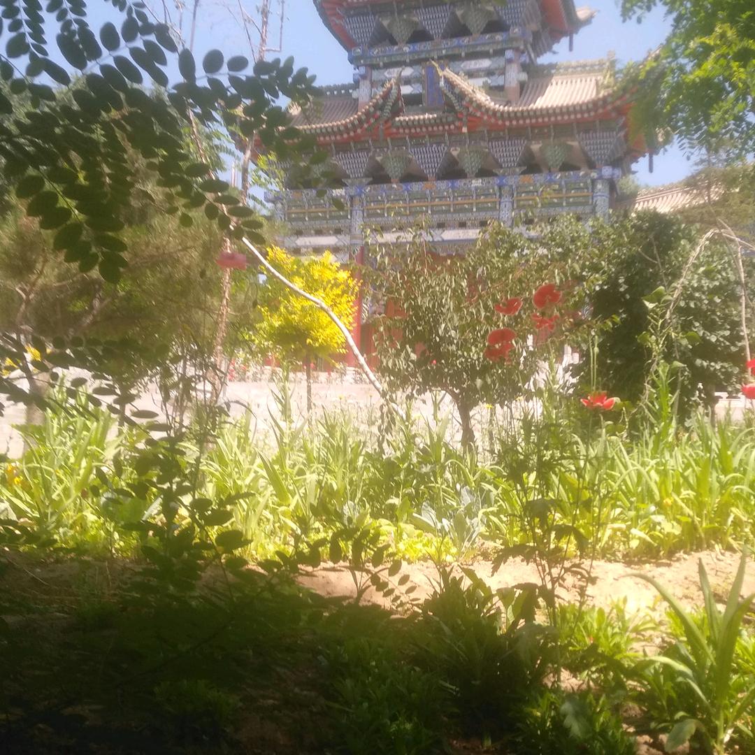 喜欢苗笛的九尾头像