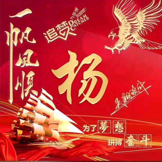 杨先生🕺