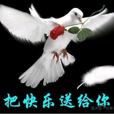 惜缘