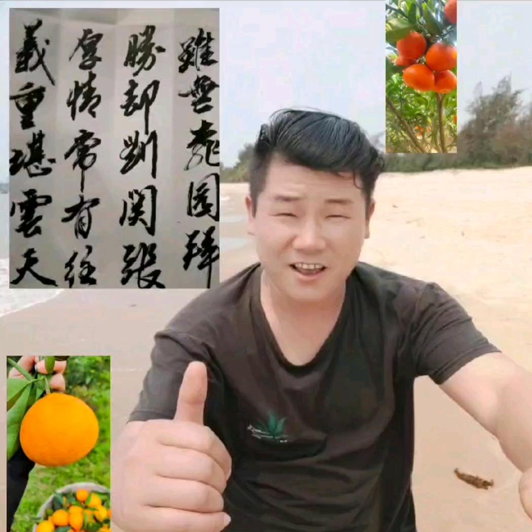 陈海玉