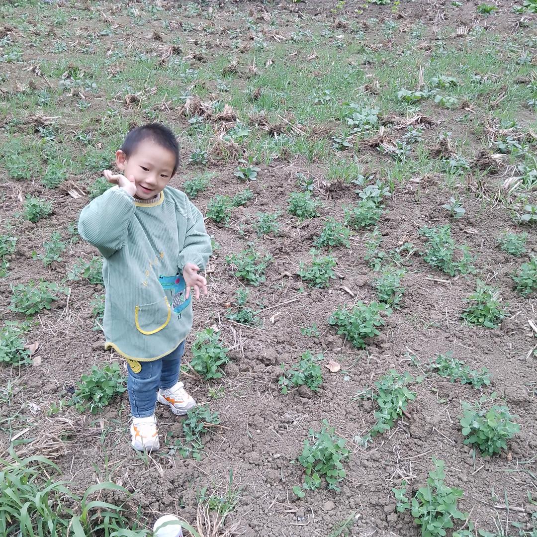 称心如意