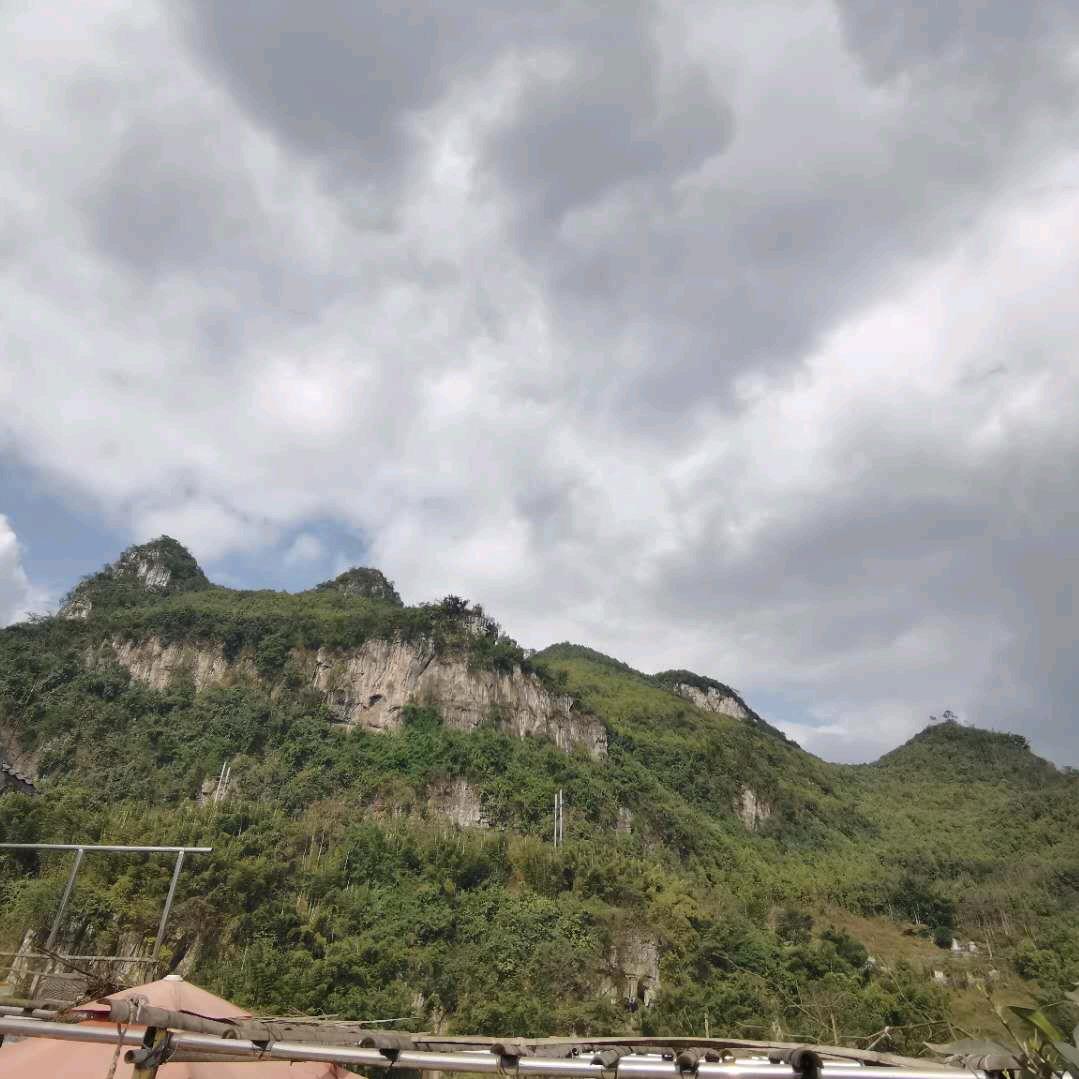 曲中意