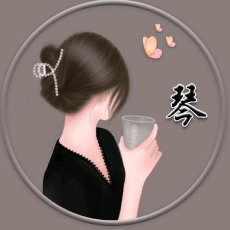 琴
