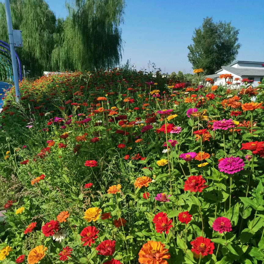 我是游客，别∝