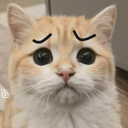 果果别皱眉