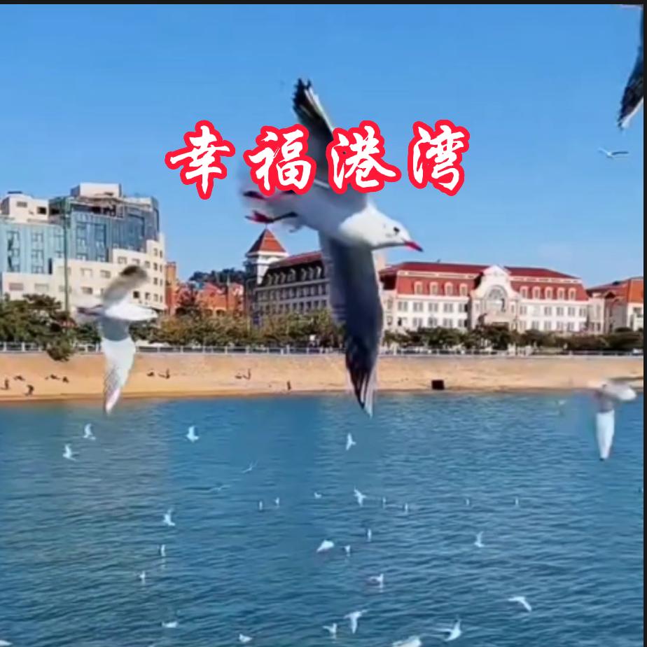 华哥音乐分享