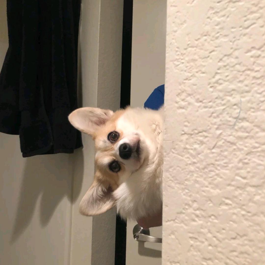 静~~