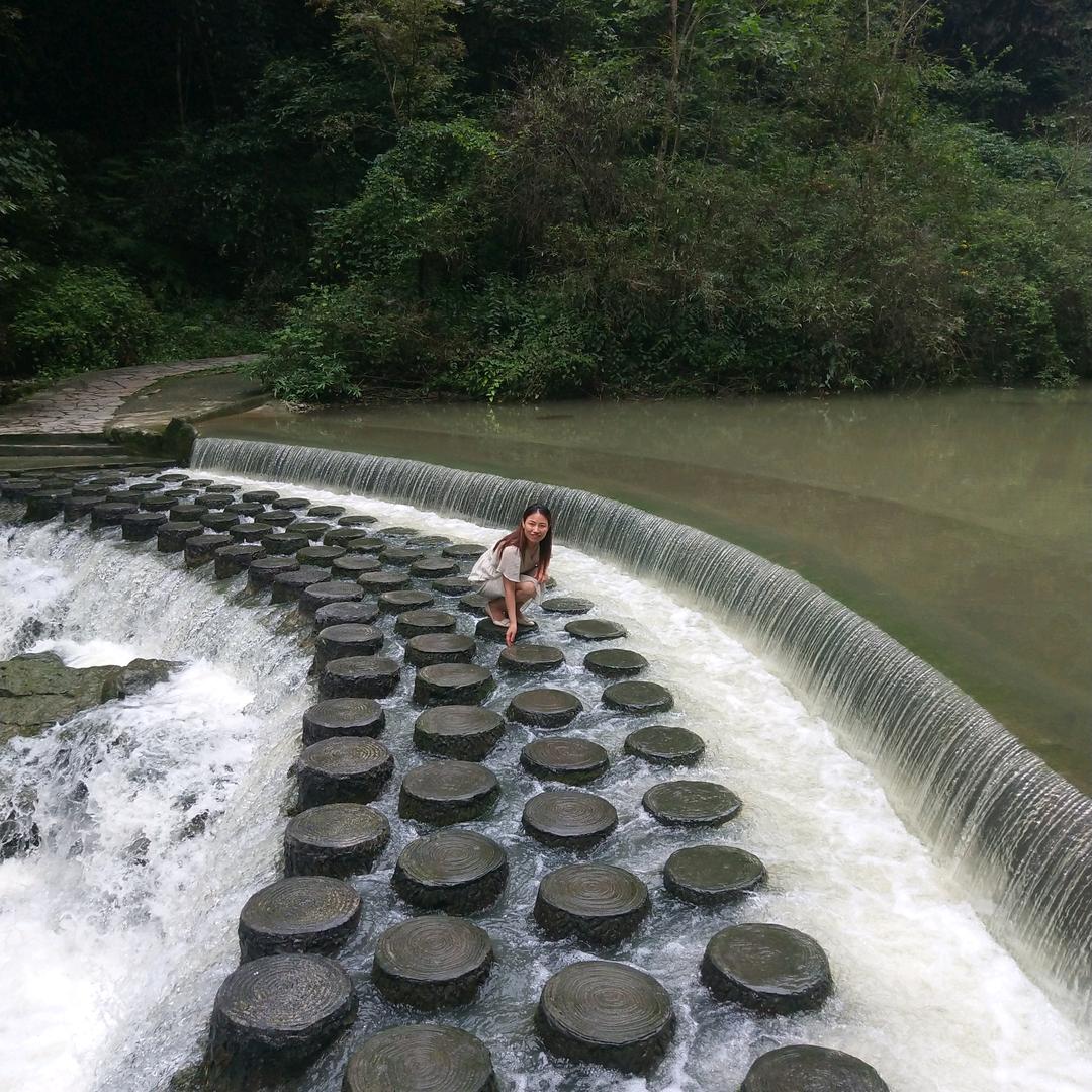 探歌