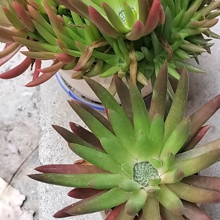 ☘️余生🌸爱自己🌴🌾