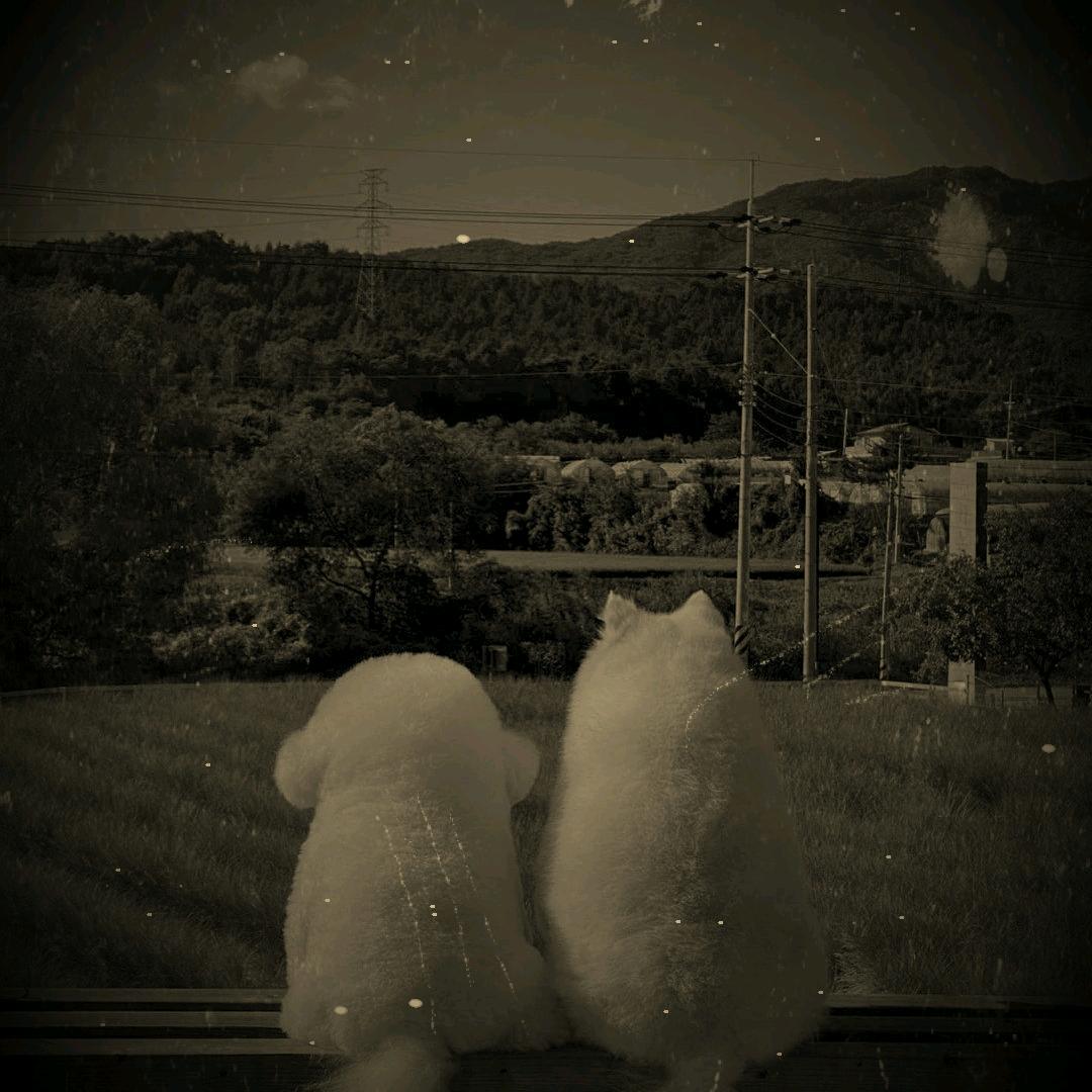 ღ浅笑᭄ꦿ࿐