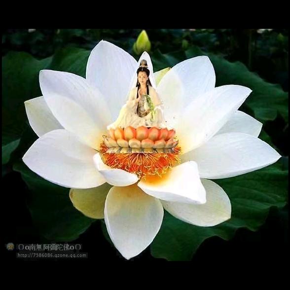 道行天下