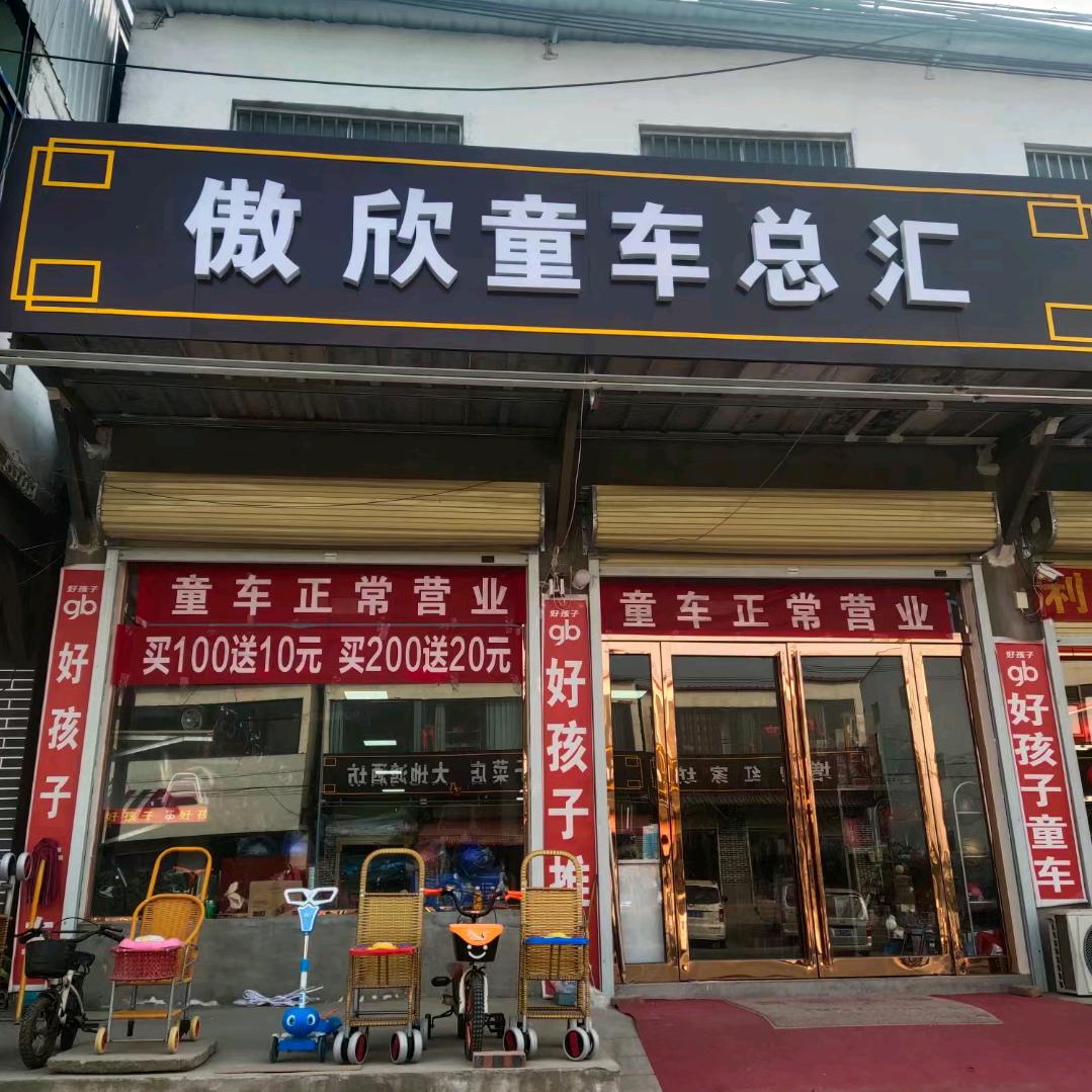 傲欣童车总汇