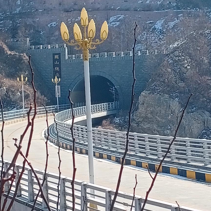 樱木