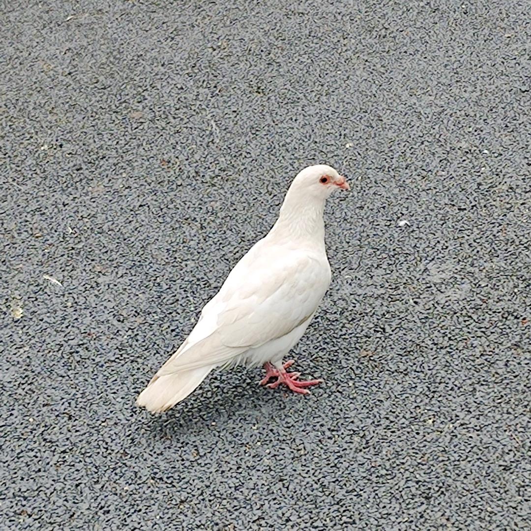 那人是谁