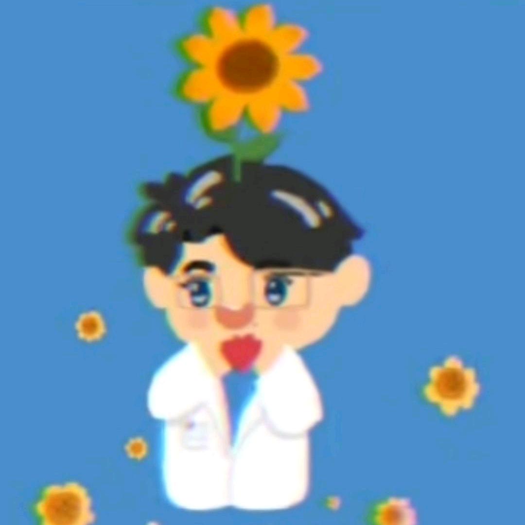 阳帆起航