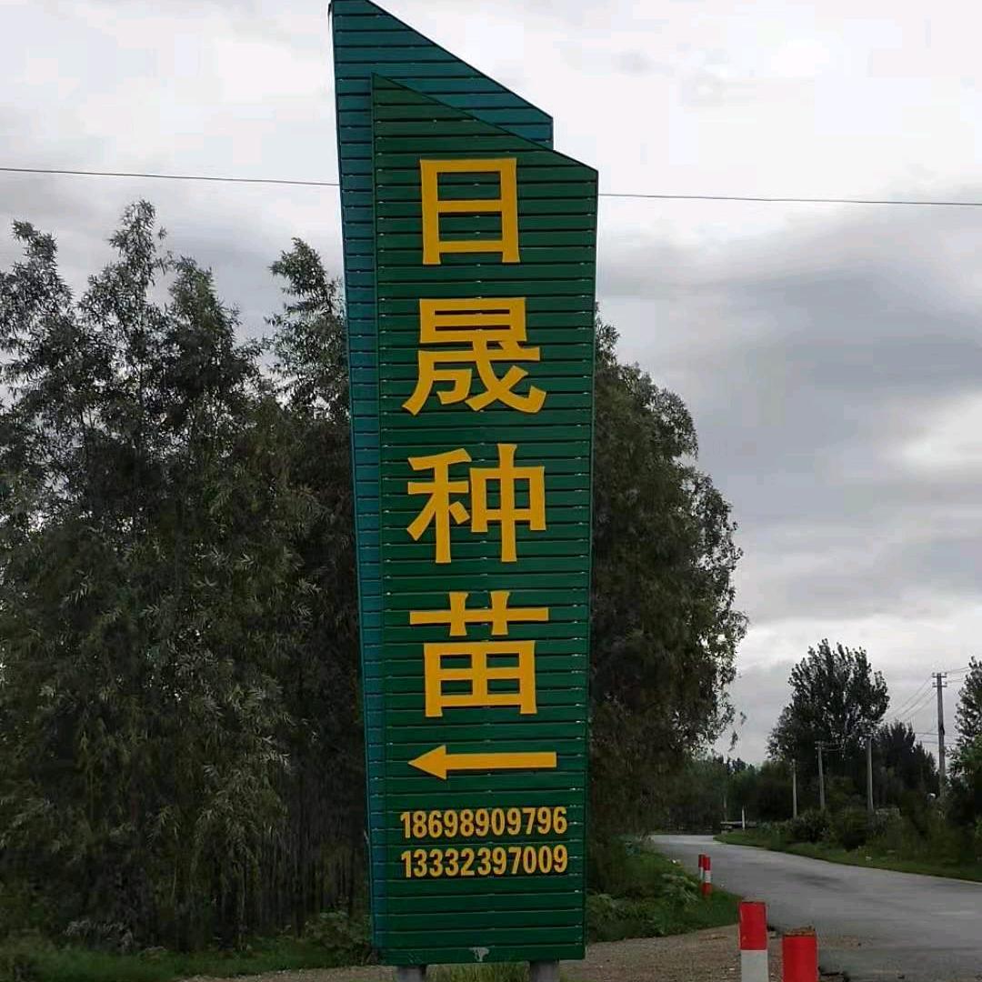 绥中县日晟种苗
