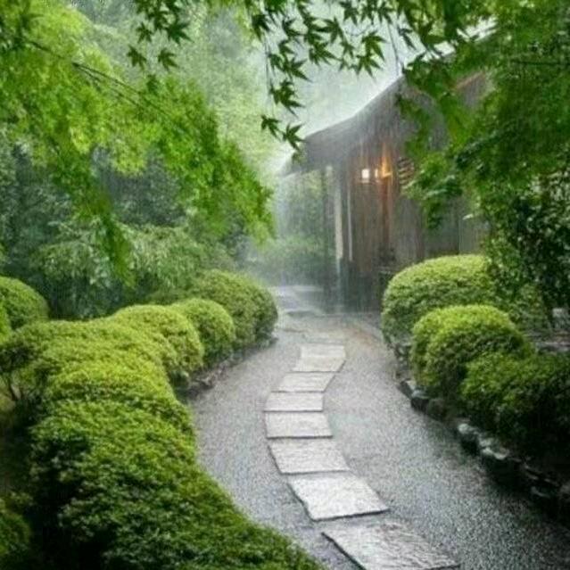 夜雨轻尘、