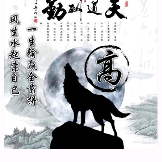 九尾灵猫--苏北洛💖