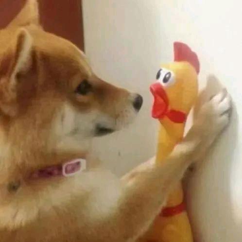 脑壳儿疼