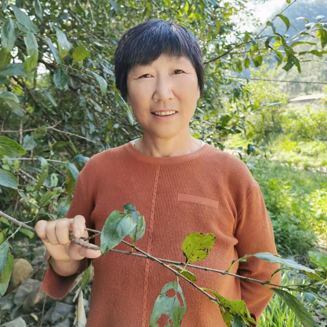 阿菊