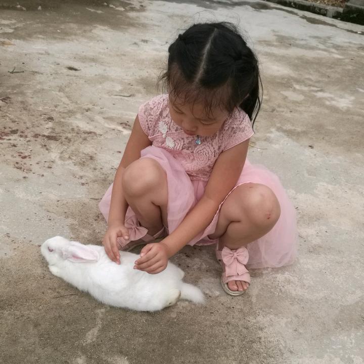 胖妹的妈