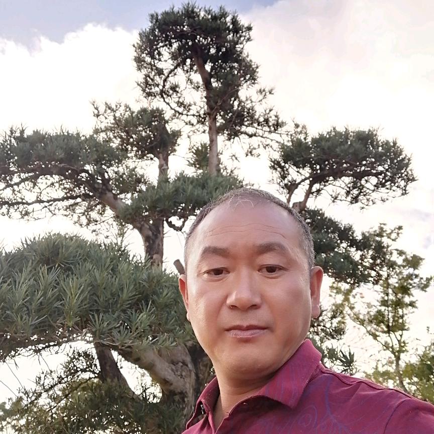 森林，根