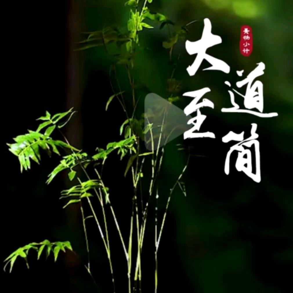 大道至简