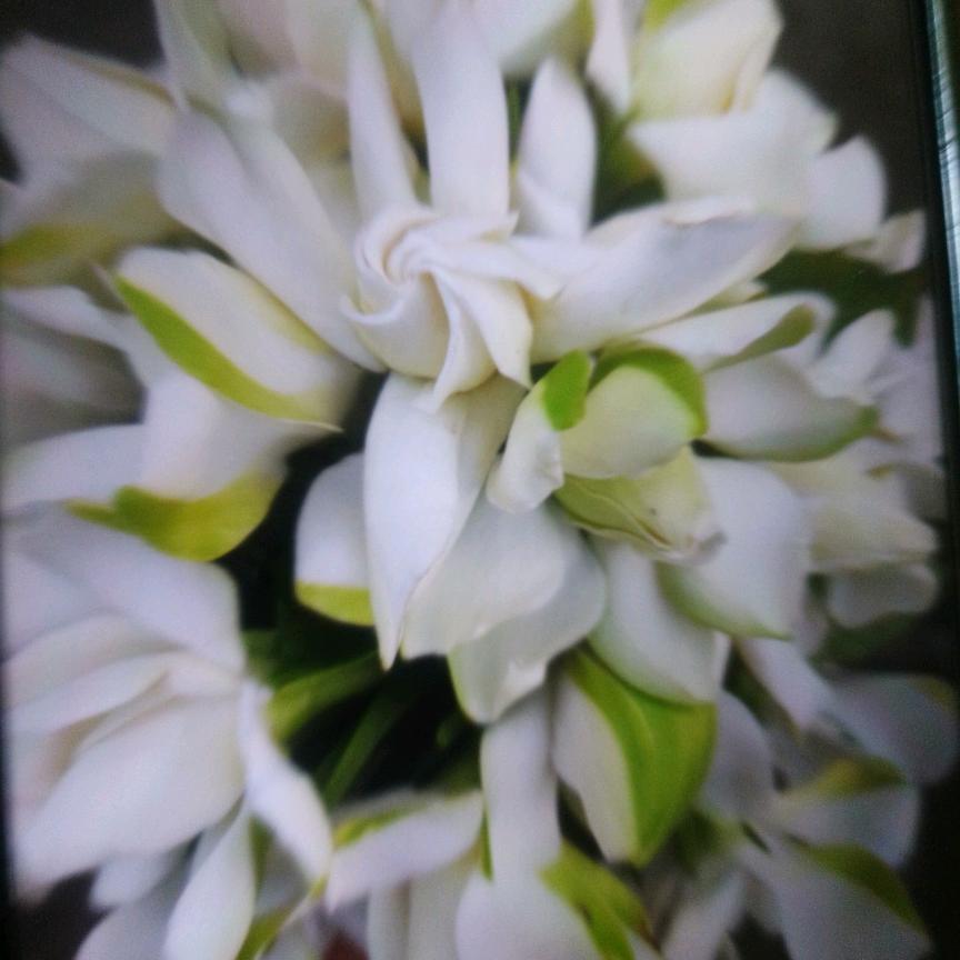 平安吉祥