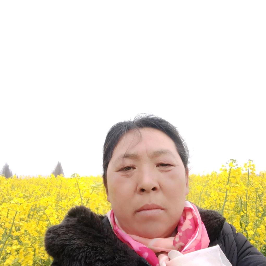 蜂蜜大姐