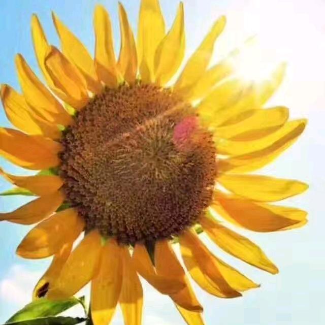 1238471037