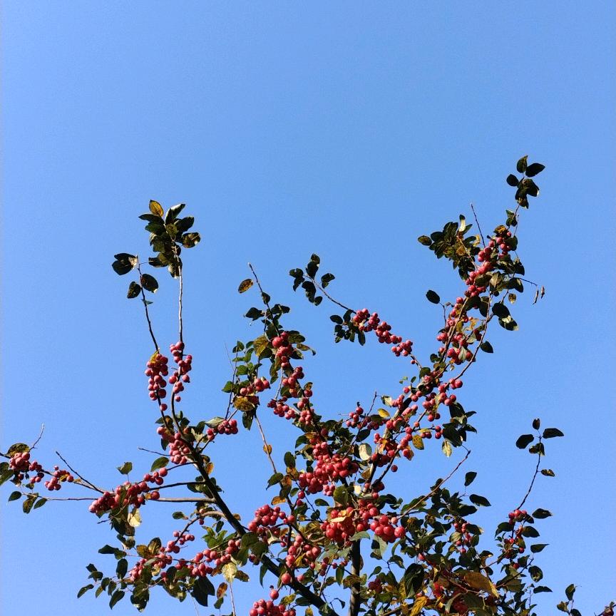 张庆利