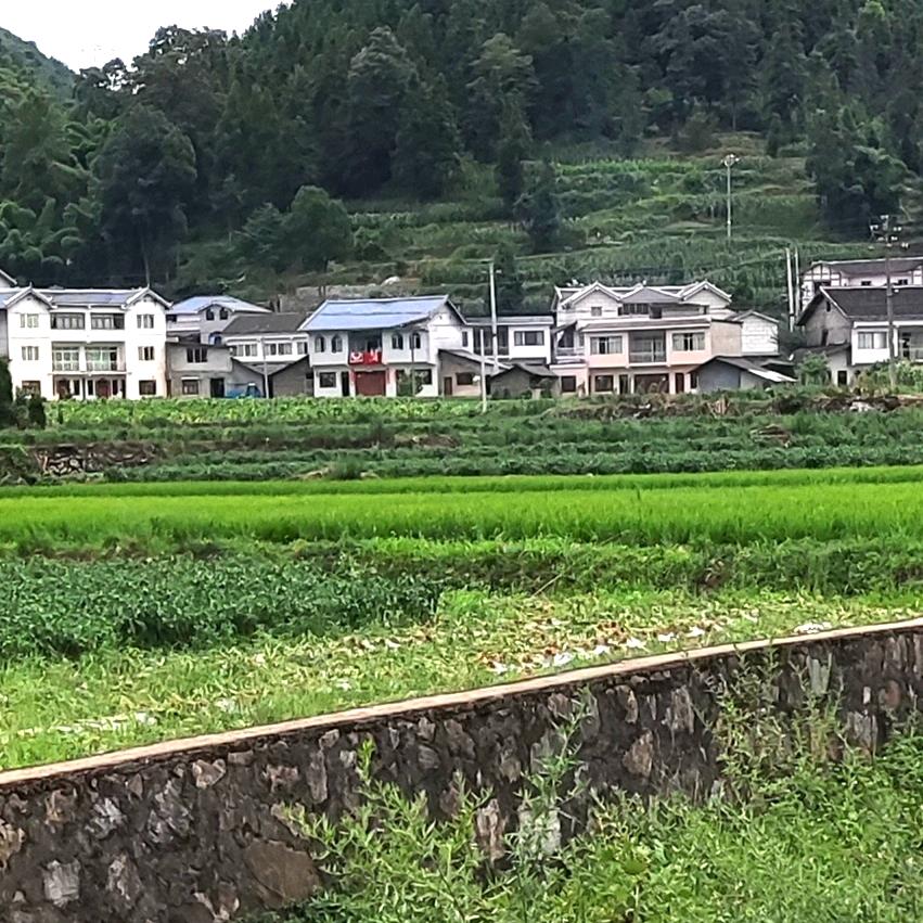 兰