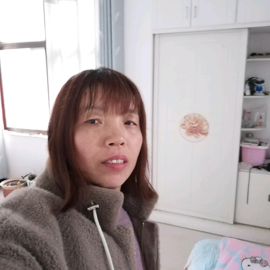 淡雅如菊