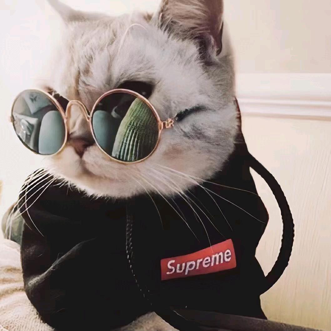 ㅤ.