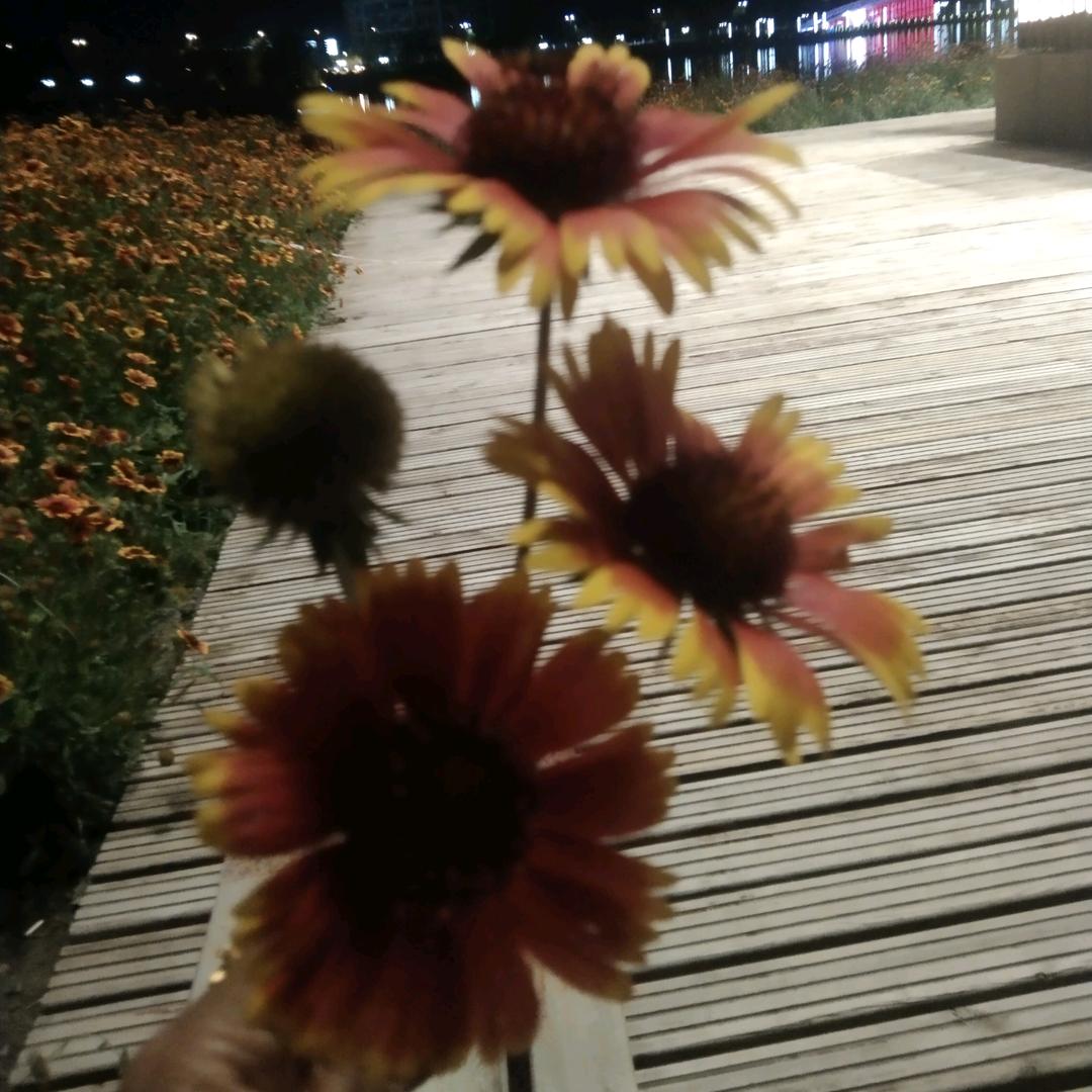 💋༊芳ღ᭄ꦿ唯有努力²⁰