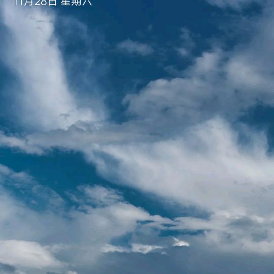王华