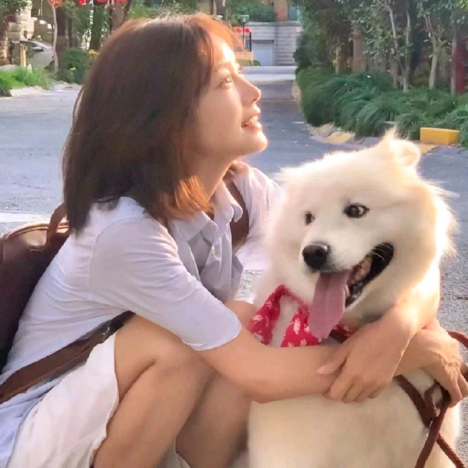 巴啦啦能量财富魔法师