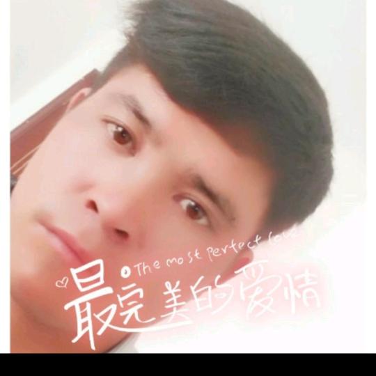 燕子归