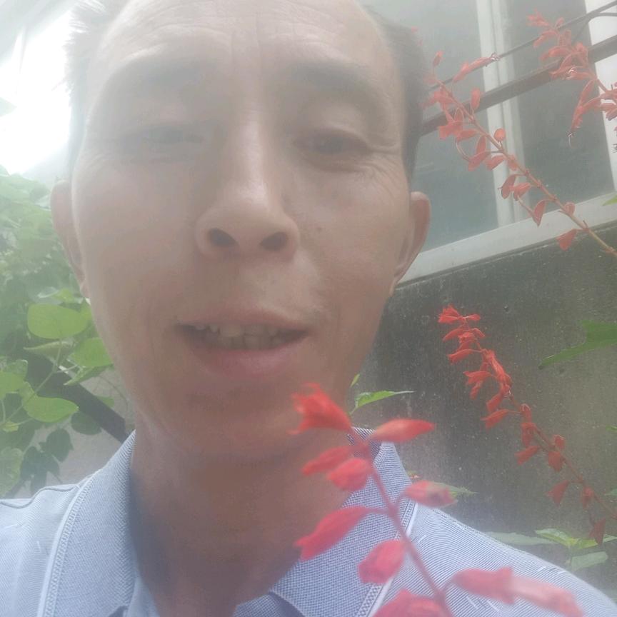 陈老八