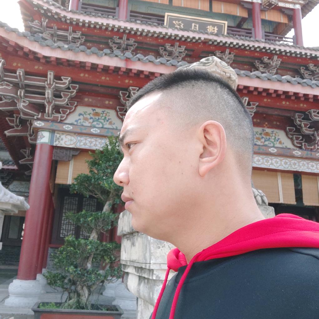 一网情深