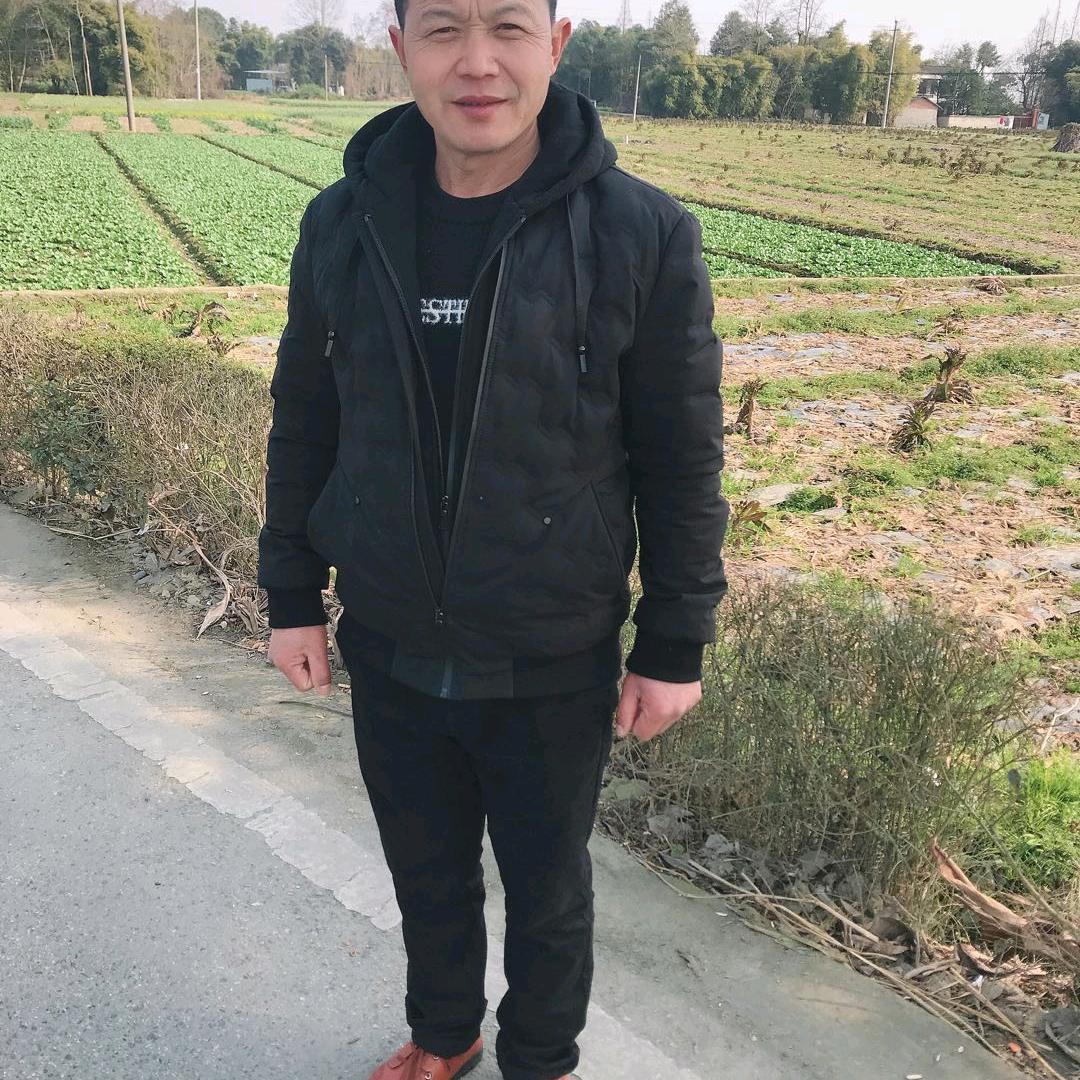 自由自在‘