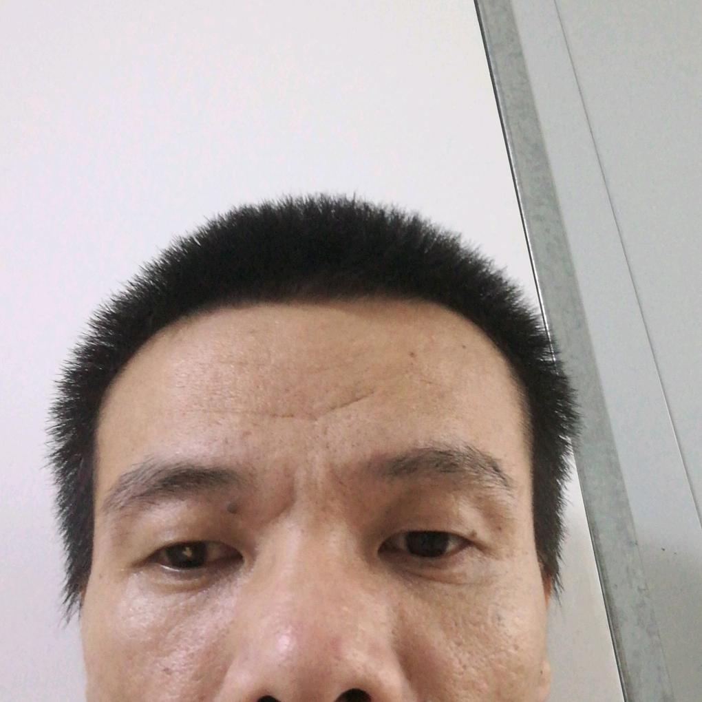 喵星人