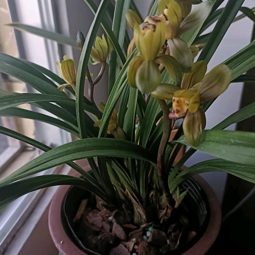 为《你》停留！