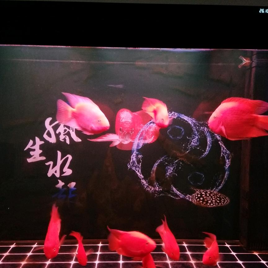 育儿书单流星雨悦读（橱窗好物）