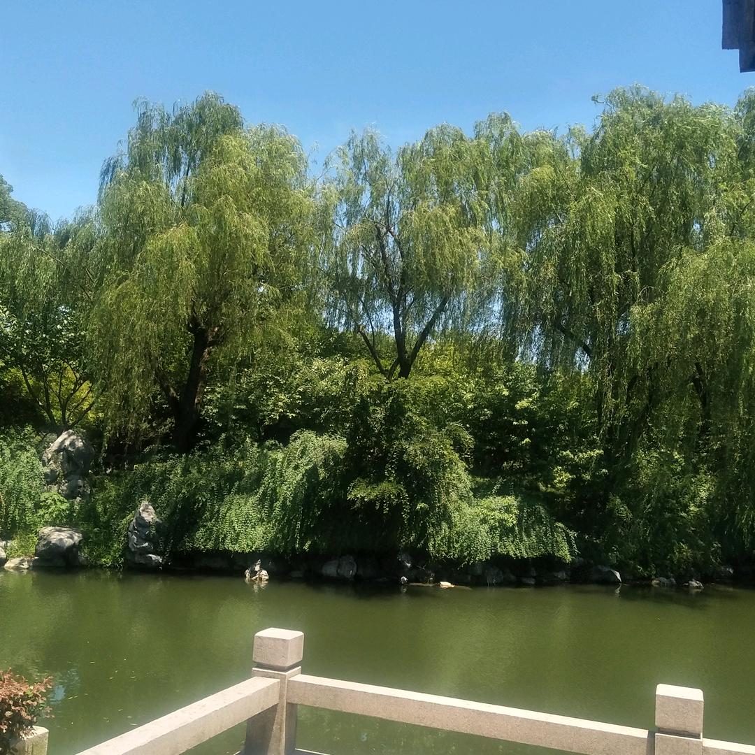 天下新泰