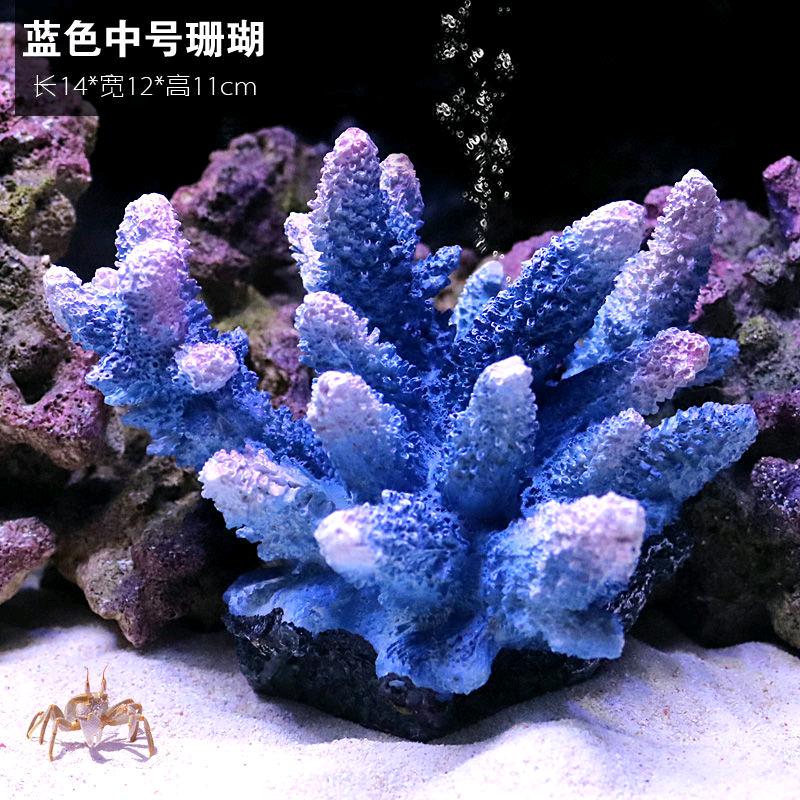 海蓝水族