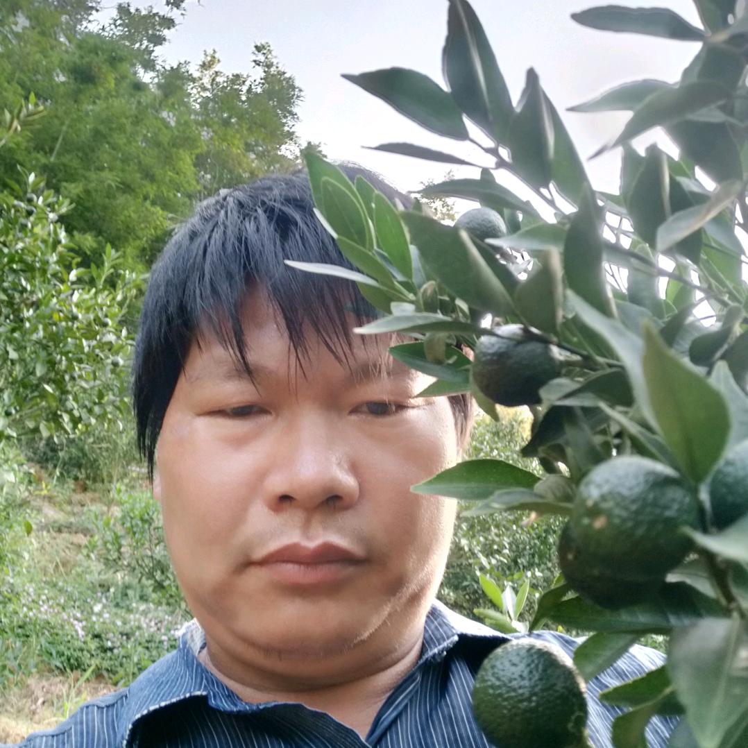 刘三哥
